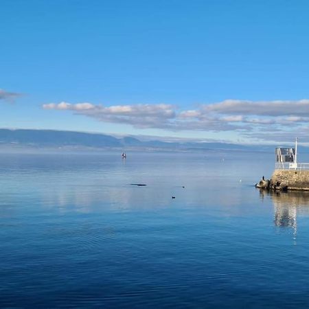Ferienwohnung Le Boreal Thonon-les-Bains Exterior foto