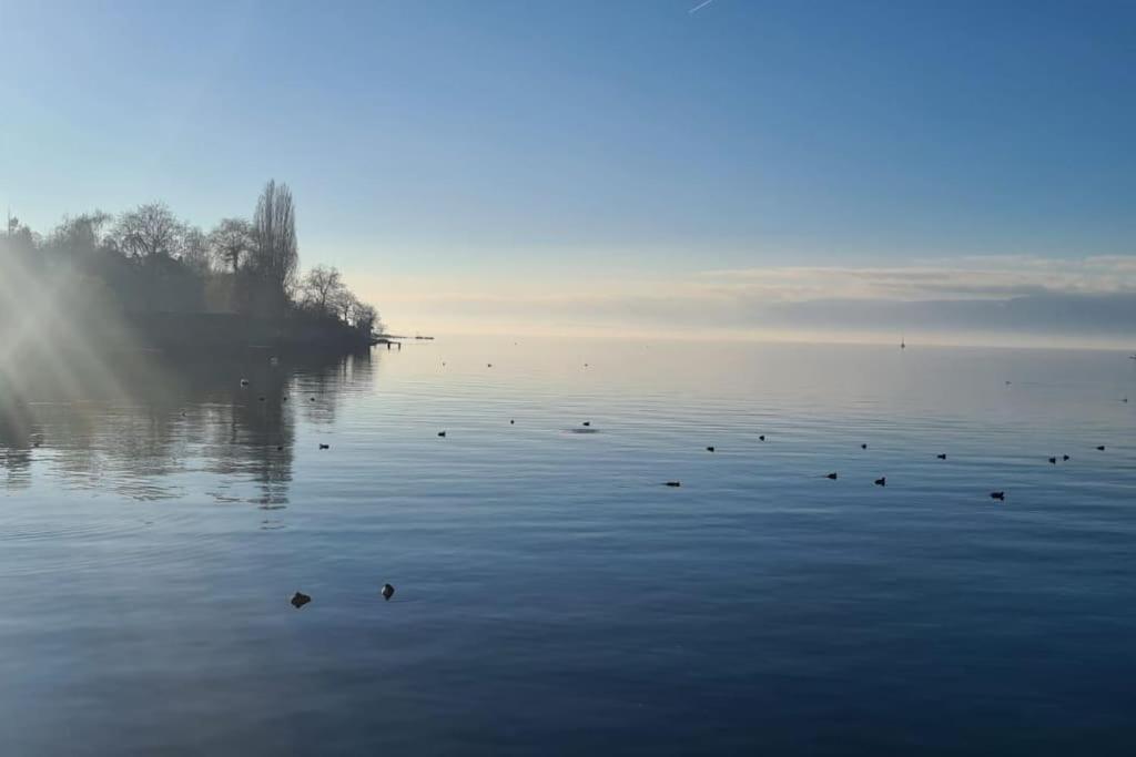 Ferienwohnung Le Boreal Thonon-les-Bains Exterior foto